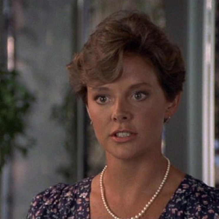 Pictures Of Amanda Bearse