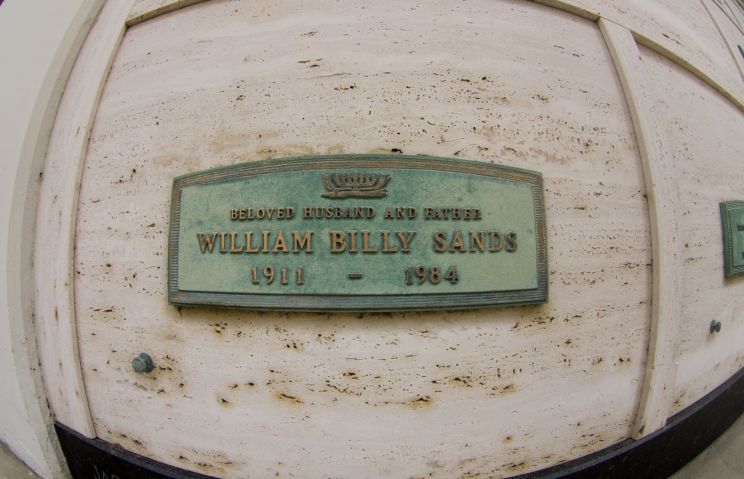 Pictures of Billy Sands