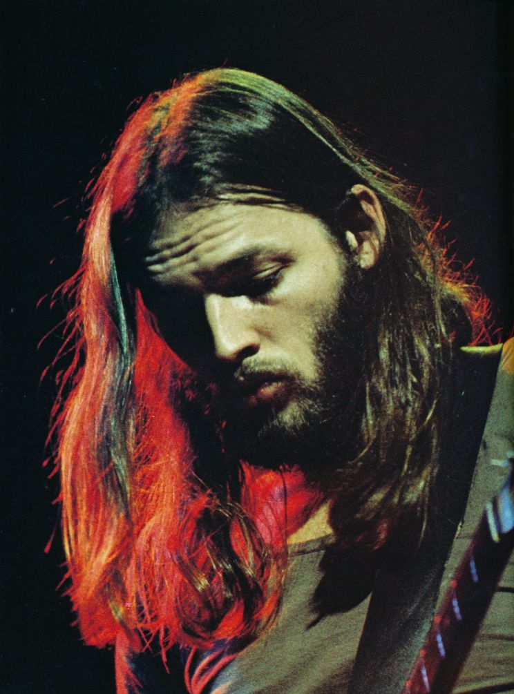 David Gilmour