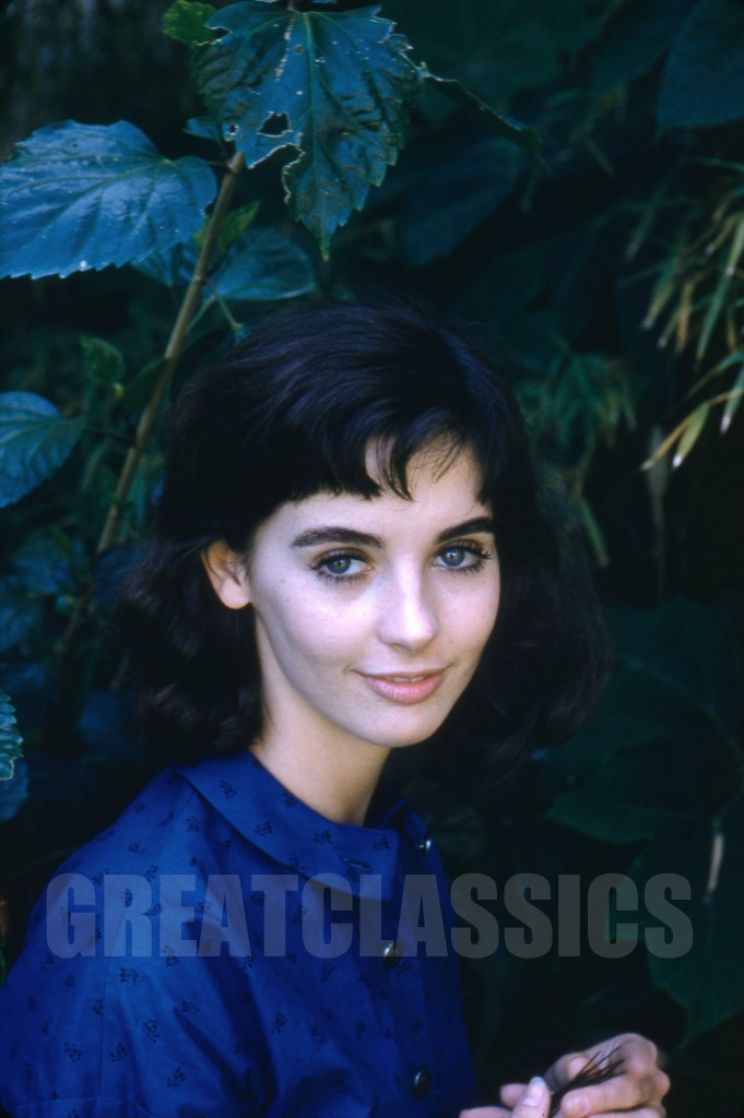 Millie Perkins