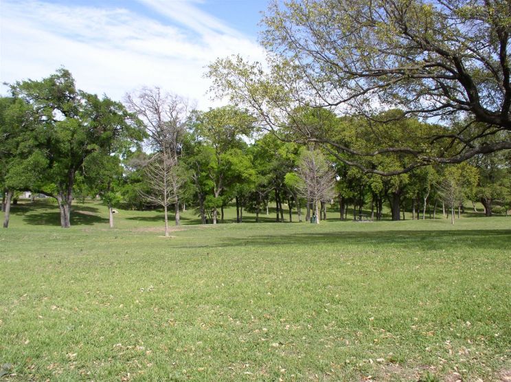 Park Overall