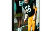 Ray Nitschke