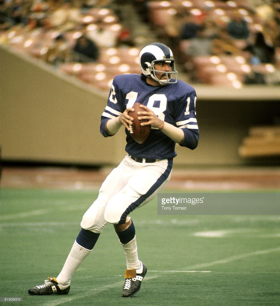 Pictures of Roman Gabriel