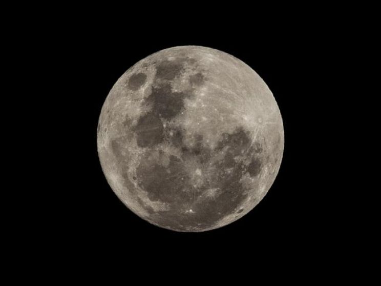 Pictures of Sydney Moon